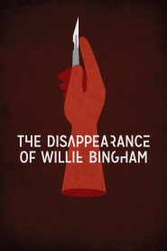 The Disappearance of Willie Bingham (2015)