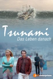 Tsunami — Das Leben danach (2012)
